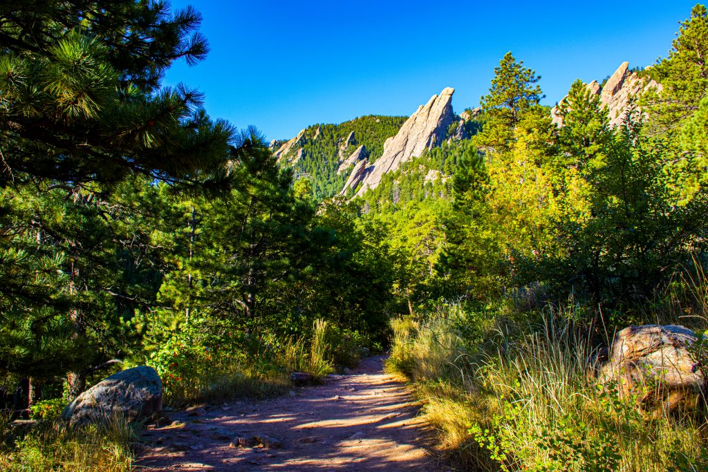 Best Solo Trips For Women In the US, Best Places to Solo Travel Female US